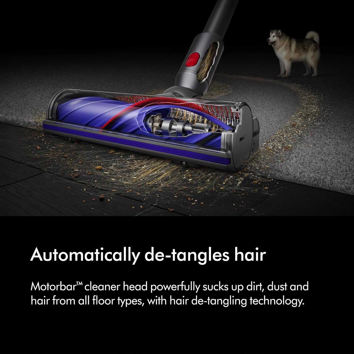 Dyson V8 Absolute Pet Cordless Vacuum Cleaner