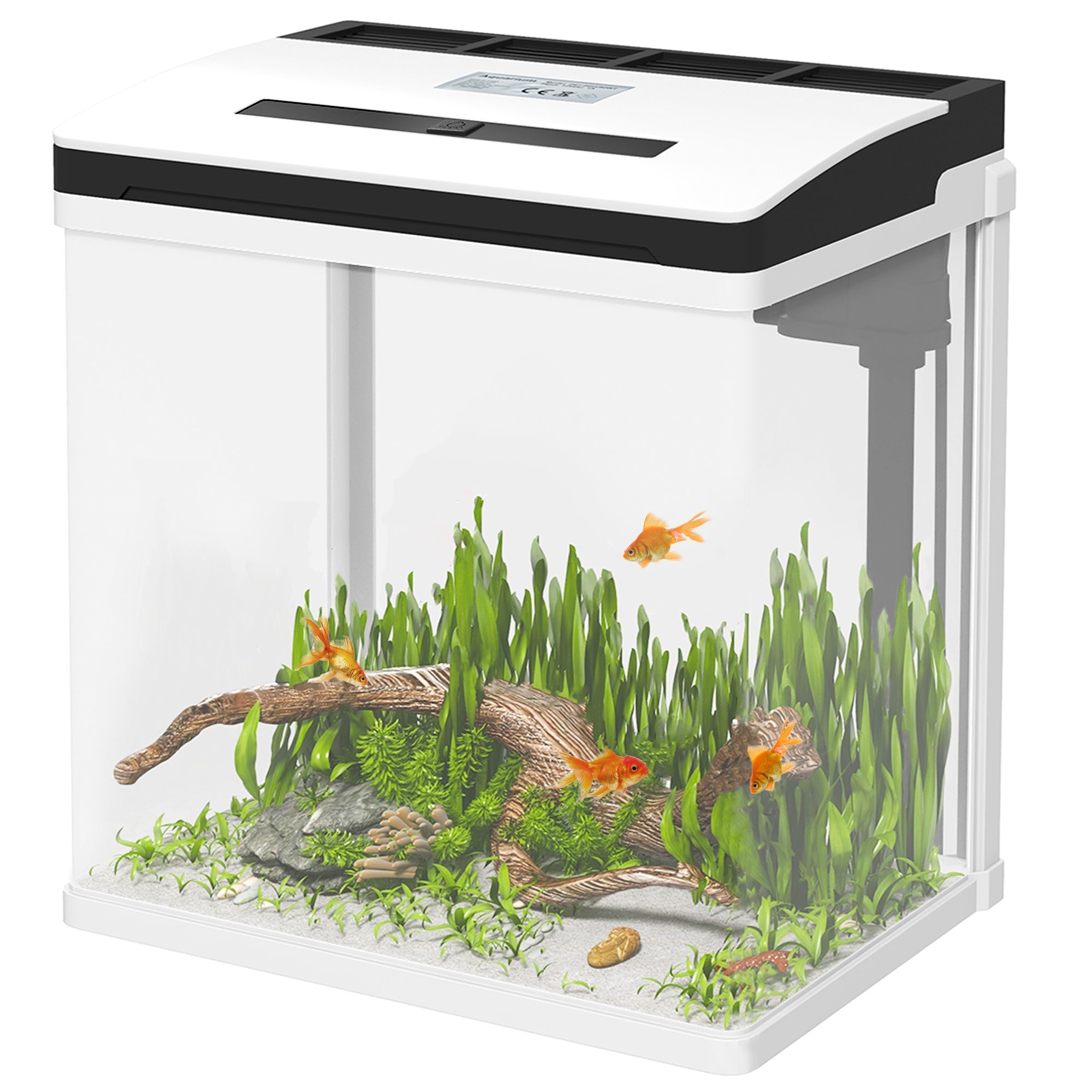 13L Glass Aquarium Fish Tank with Filter, LED Lighting, for Betta, Guppy, Mini Parrot Fish, Shrimp, 29 x 20 x 30.5cm-0