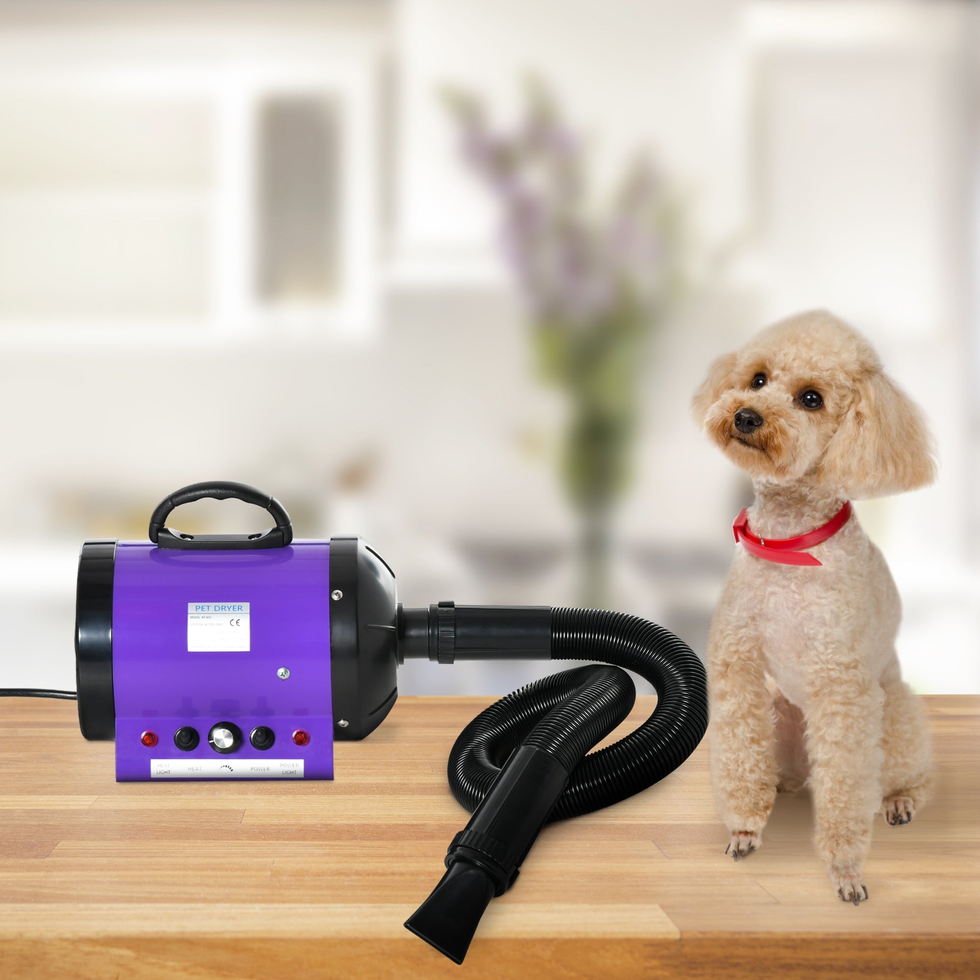 2800W Dog Hair Dryer Pet Grooming Blaster Water Blower Dryer w/ 3 Nozzles, Purple-1