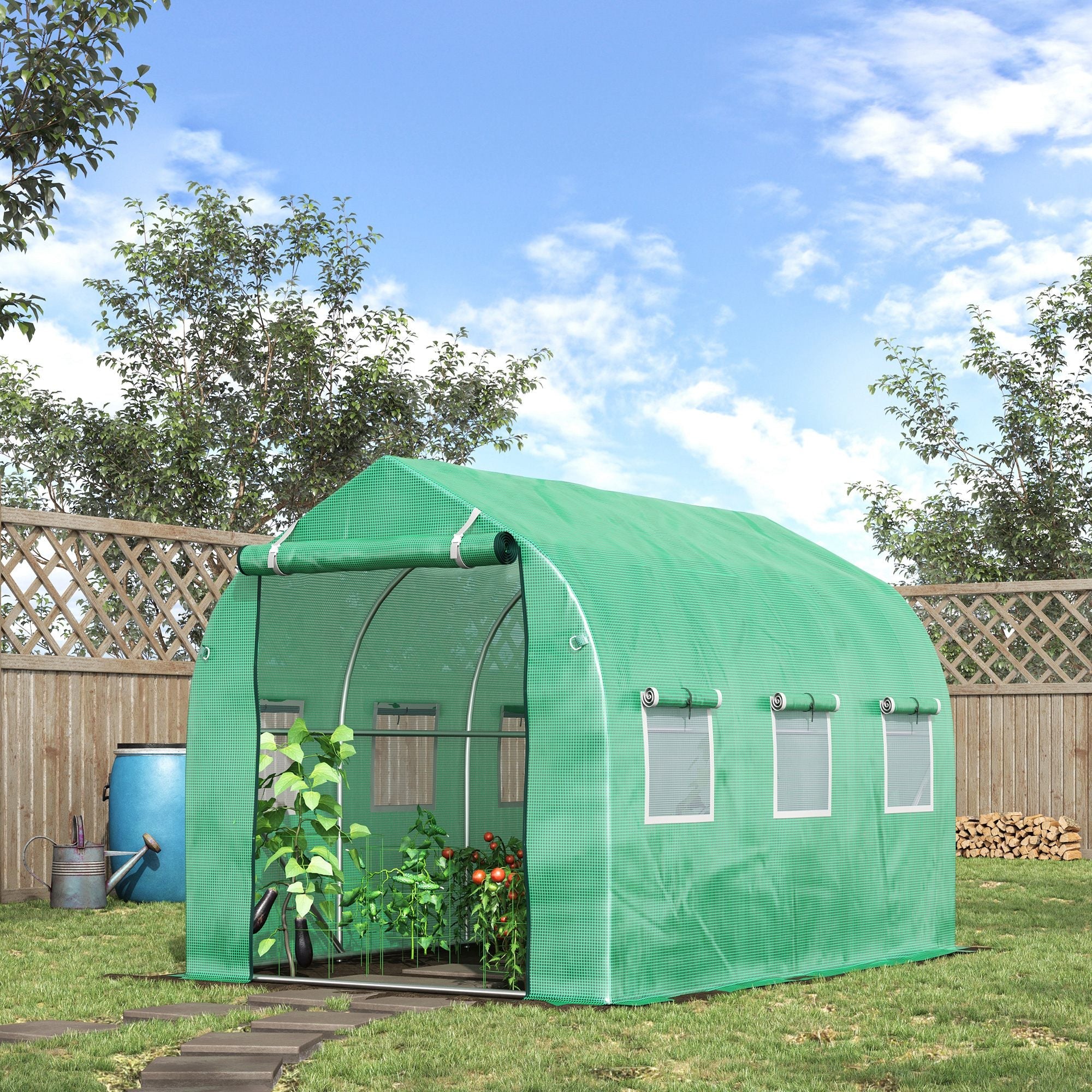 Walk in Polytunnel Greenhouse with Windows and Door for Garden, Backyard (3 x 2M)-1