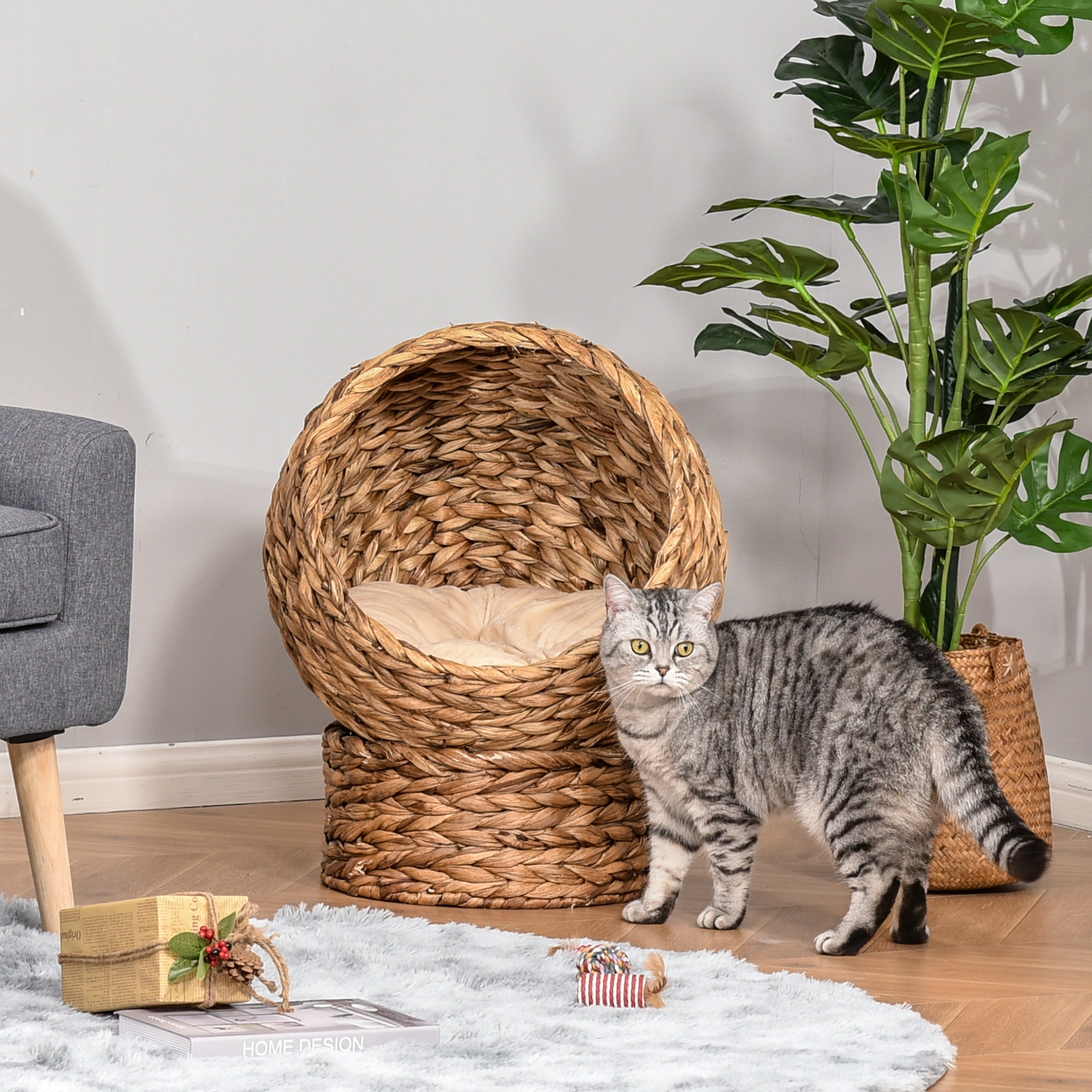 Wicker Cat Bed, Raised Rattan Cat Basket with Cylindrical Base, Soft Washable Cushion, Brown, 50 x 42 x 60 cm-1