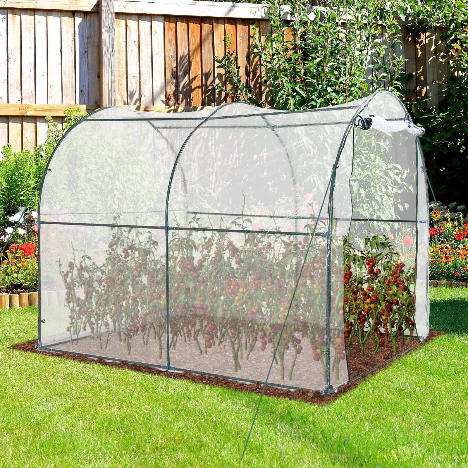 Walk-in Polytunnel Greenhouse with Roll-up Door Transparent Tunnel Greenhouse with Steel Frame and PVC Cover, 2.5 x 2m-1