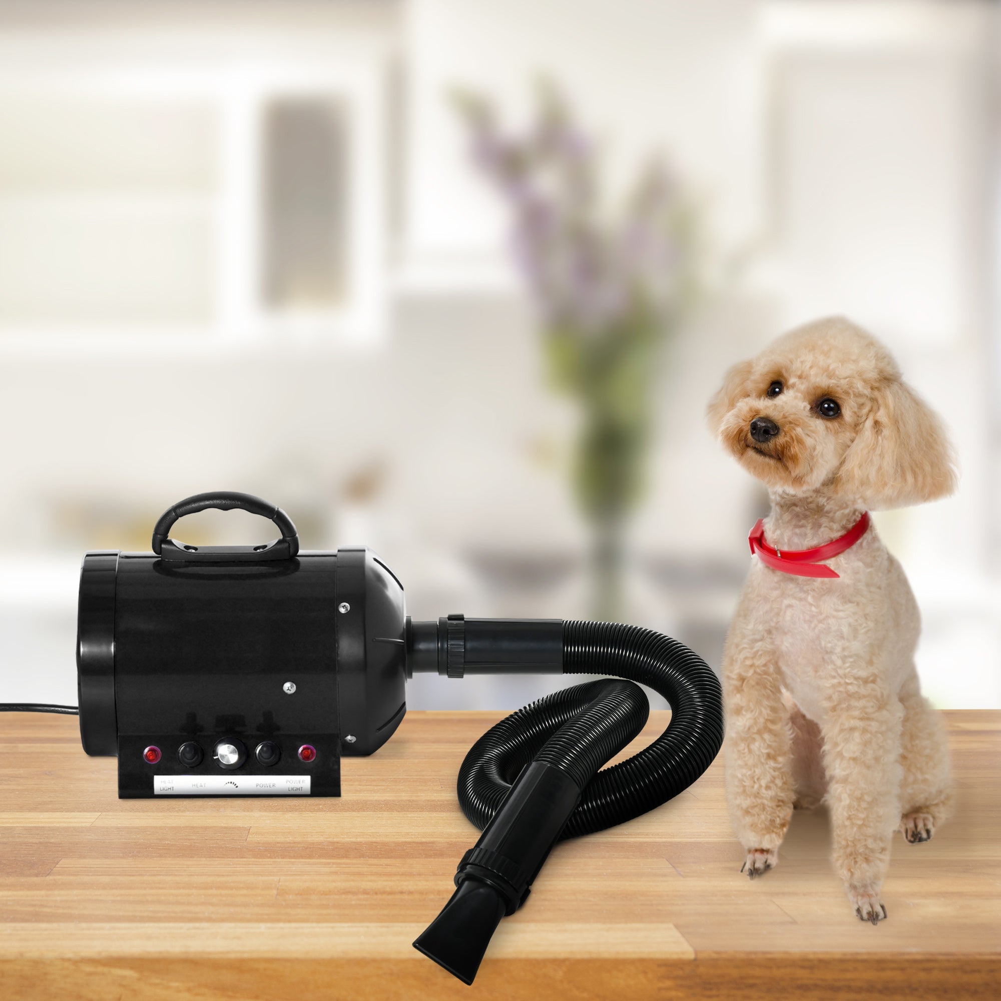 2800W Dog Hair Dryer Pet Grooming Blaster Water Blower Dryer w/ 3 Nozzles, Black-1