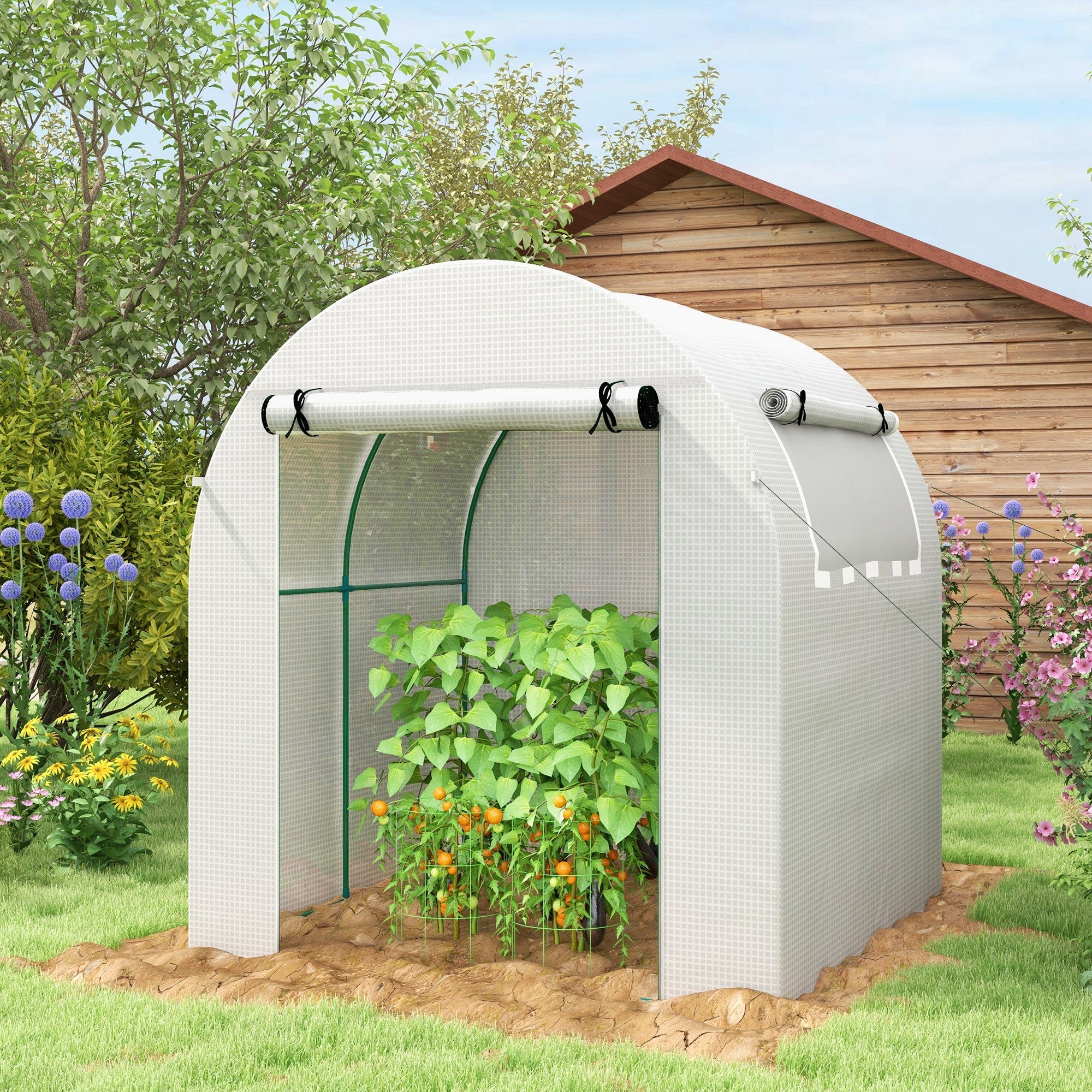 Walk in Polytunnel Greenhouse, Green House for Garden with Roll-up Window and Door, 1.8 x 1.8 x 2 m, White-1