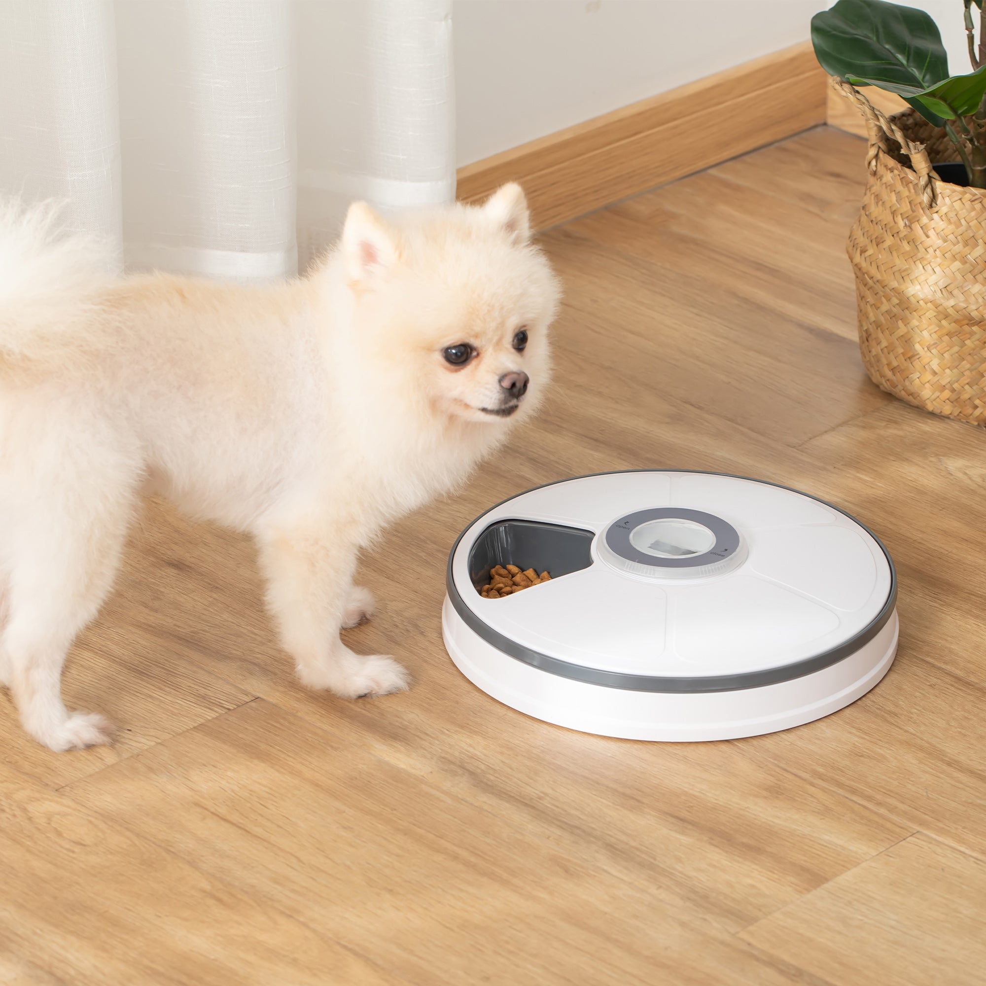 Automatic Pet Dog Cat Feeder with Digital Timer, 6-Meal Food Dispenser Trays for Wet or Dry Pet Food, LED Display Power by Battery-1