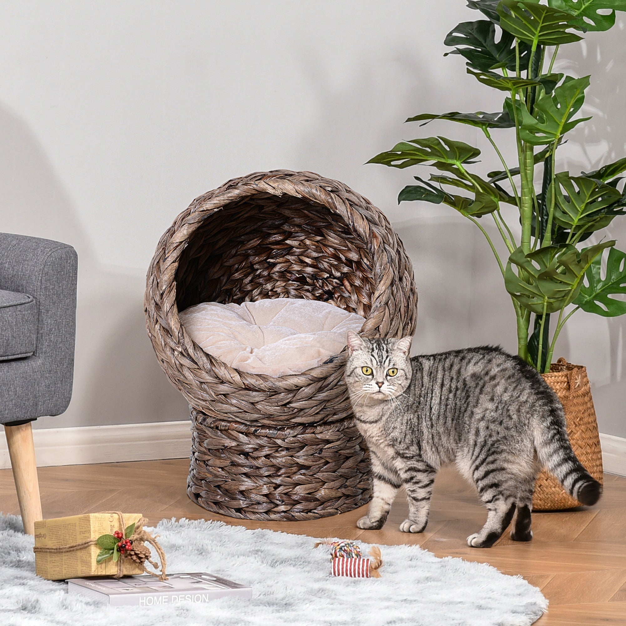 Wicker Cat Bed, Raised Rattan Cat Basket with Cylindrical Base, Soft Washable Cushion, 42 x 33 x 52cm - Brown-1